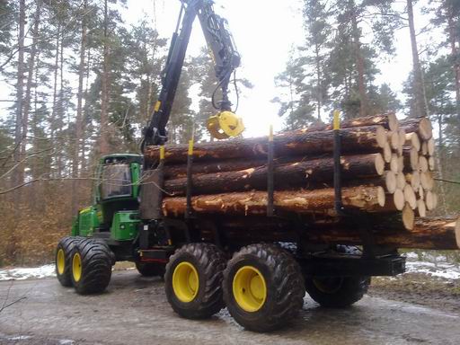 Forest Industry